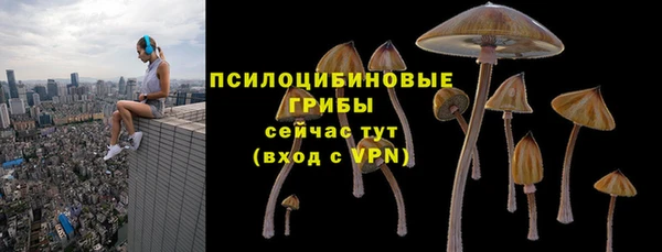 ALPHA-PVP Мегион