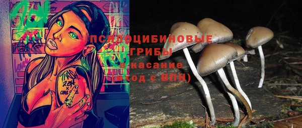 гашик Медногорск