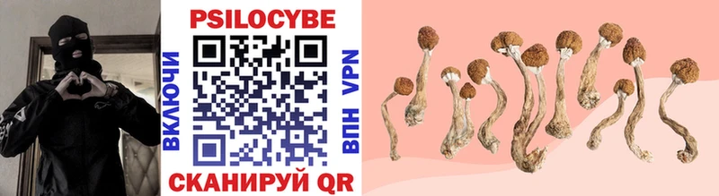 Галлюциногенные грибы Psilocybe  что такое   Набережные Челны 