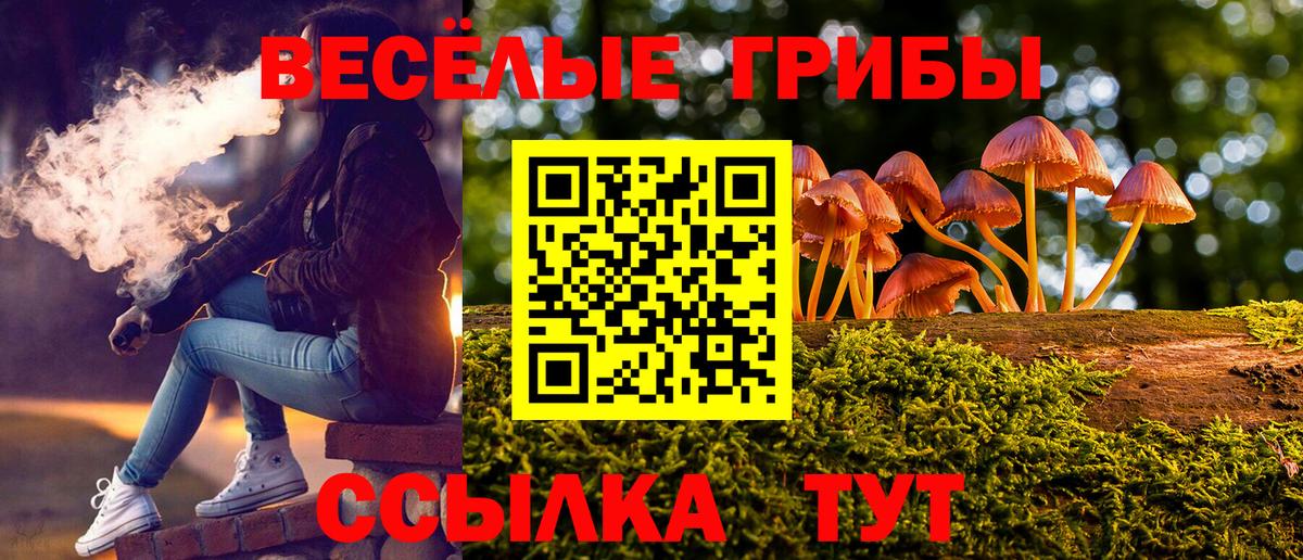 Набережные Челны  Псилоцибиновые грибы GOLDEN TEACHER  купить наркотики цена  Вход с VPN 
